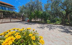 Apartmani Rita Kiwi