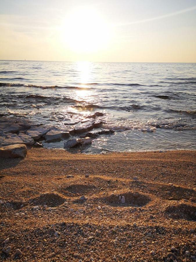 Apartmani Rita Kiwi Novigrad Istria Esterno foto
